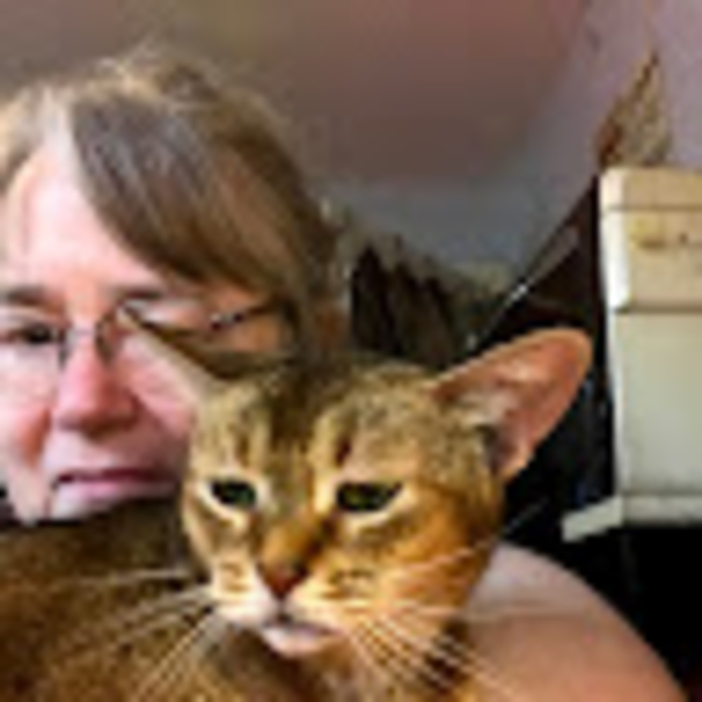 Meet your Posher, Cheryl
